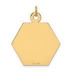 14k 26.5mm Hexagon Red Enameled Medical Jewelry Pendant