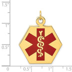 14k 26.5mm Hexagon Red Enameled Medical Jewelry Pendant