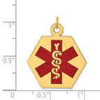14k 22.5mm Hexagon Red Enameled Medical Jewelry Pendant