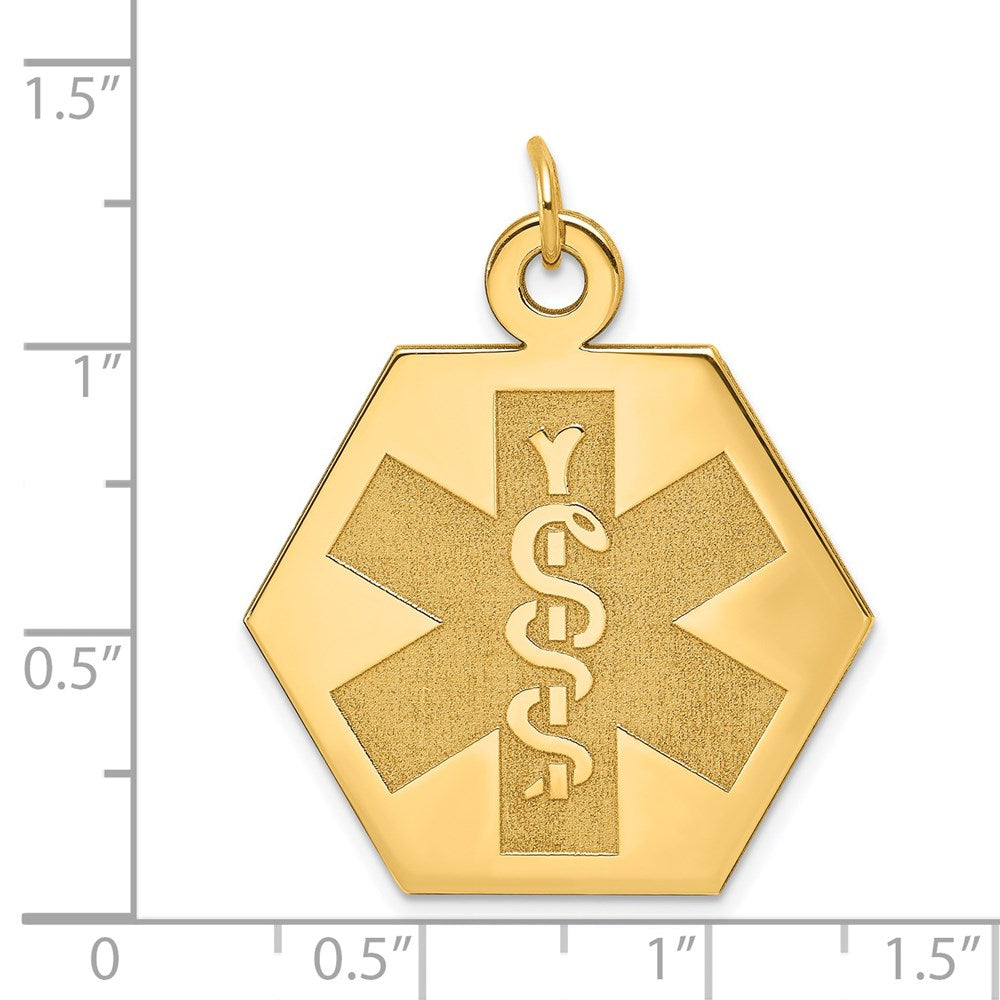 14k 22.5mm Hexagon Non-enameled Medical Jewelry Pendant
