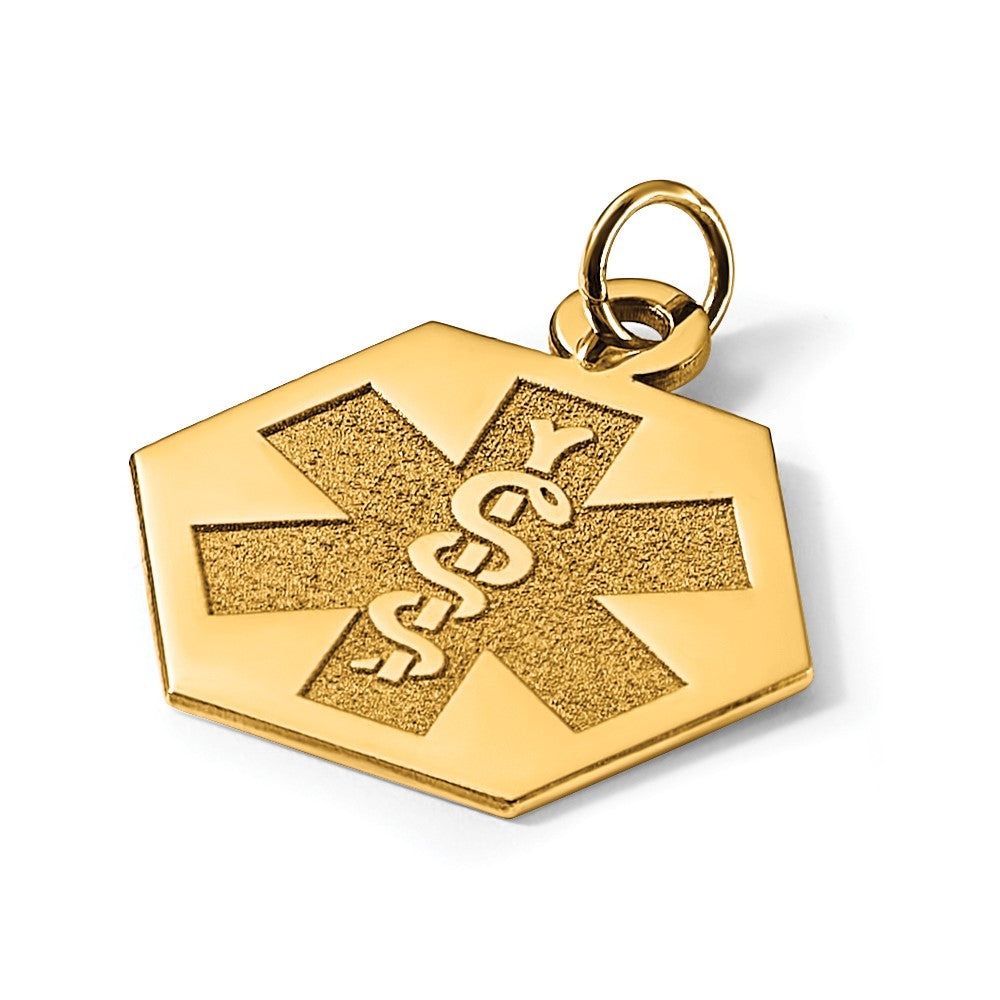 14k 22.5mm Hexagon Non-enameled Medical Jewelry Pendant