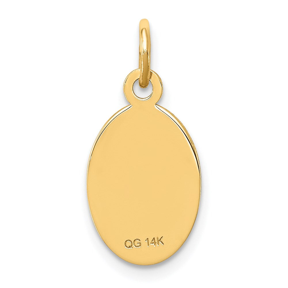 14k 16x9.5mm Oval Non-enameled Medical Jewelry Pendant
