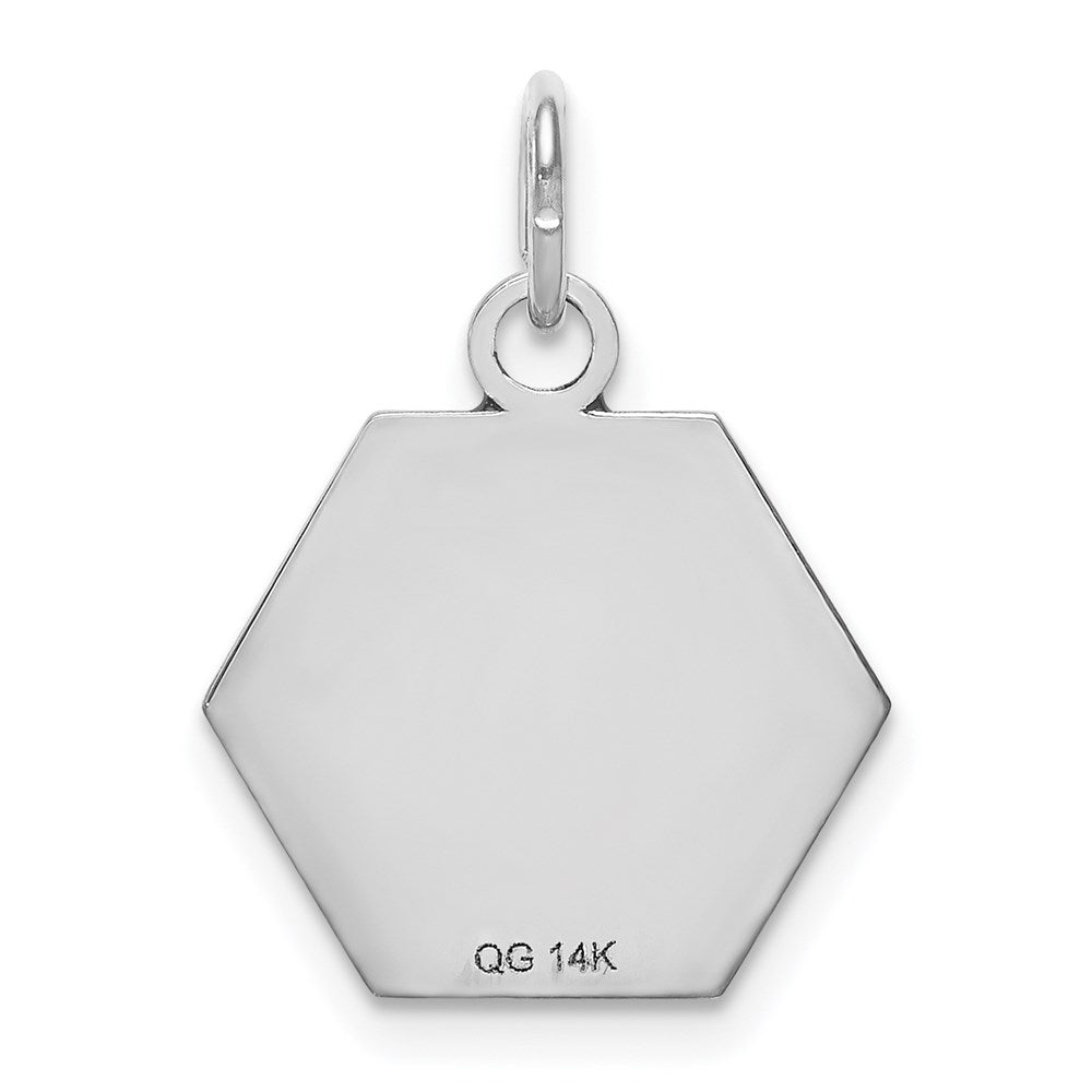 14k White Gold 15mm Hexagon Red Enameled Medical Jewelry Pendant