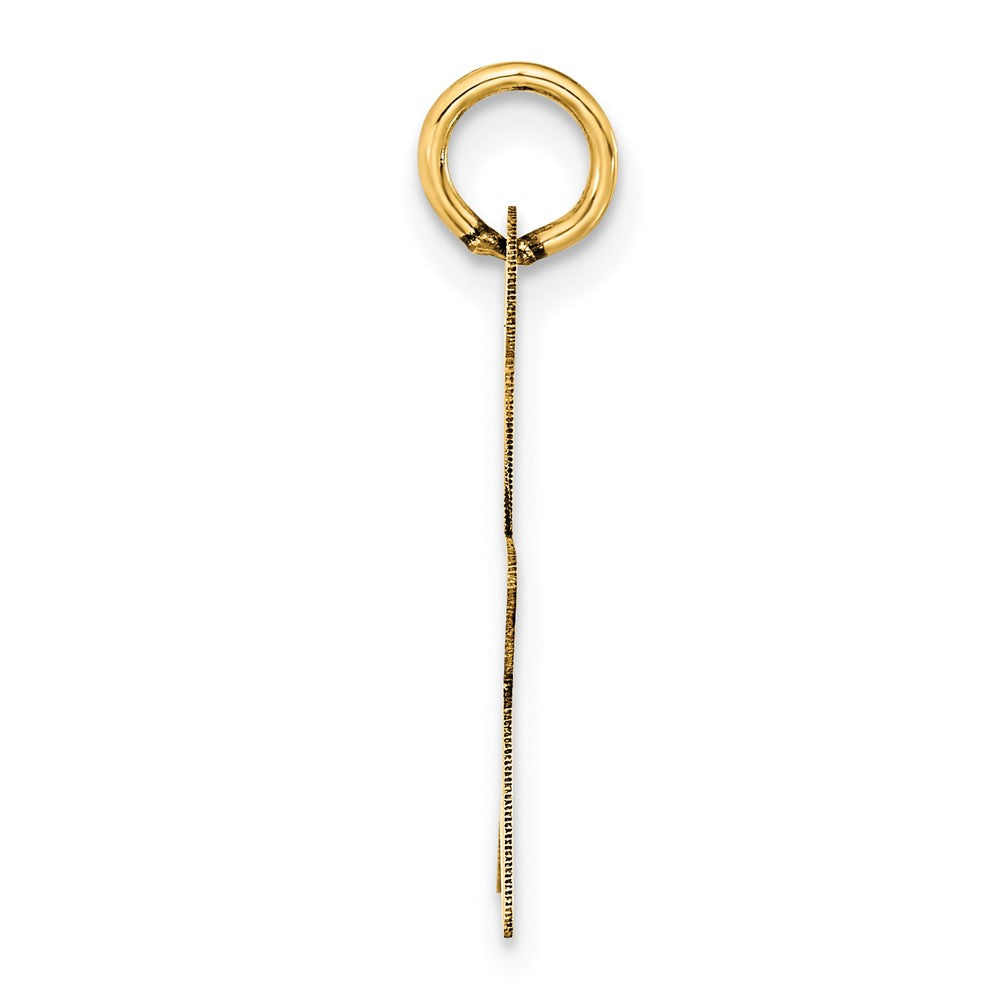 14K Star Disc Charm