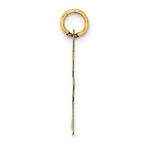 14K Star Disc Charm