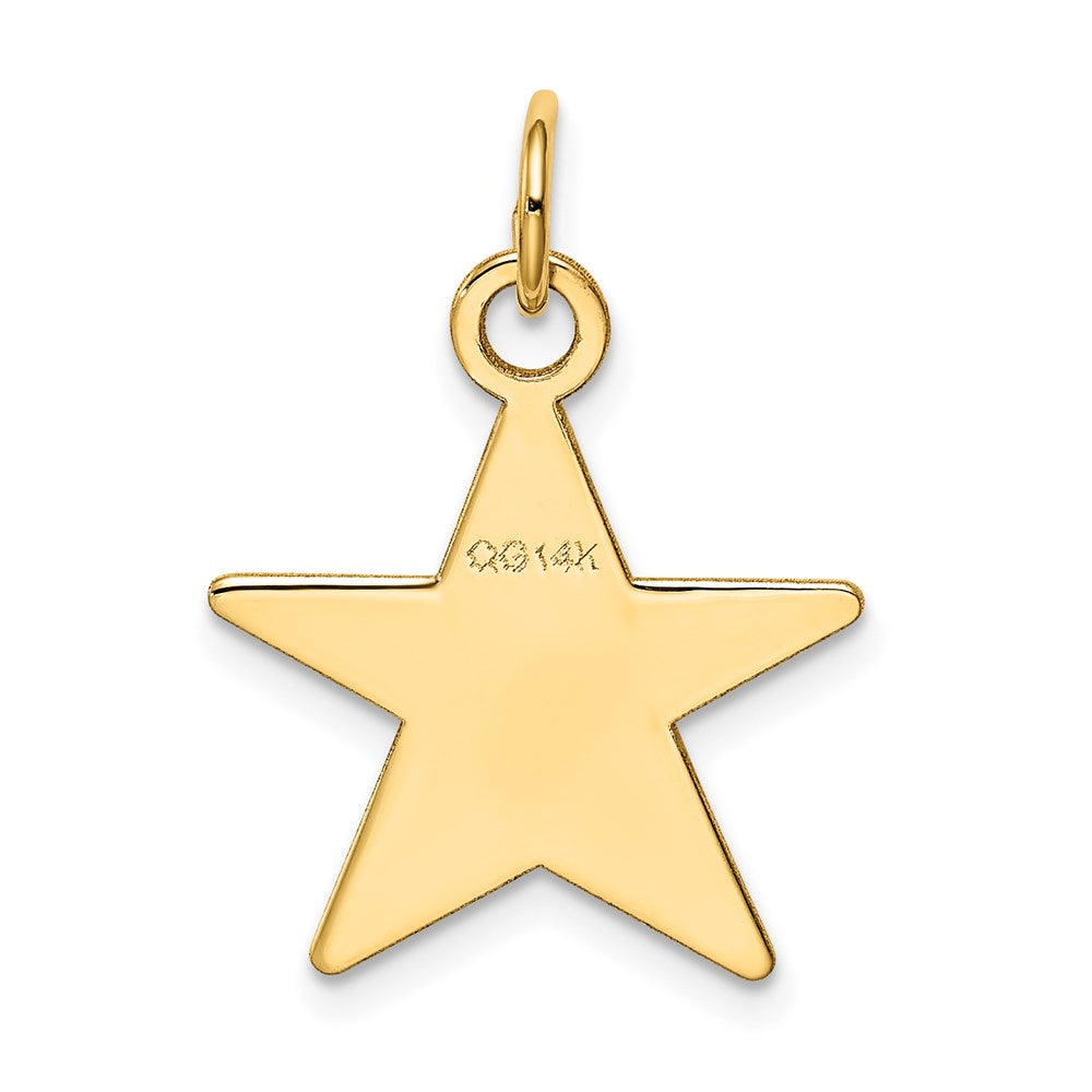 14K Star Disc Charm