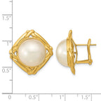 14k 13-14mm White Mabe Saltwater Cultured Pearl Omega Back Earrings