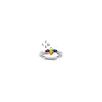 14k White Gold Family Jewelry Ring