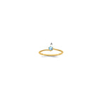 14k Family Jewelry Ring