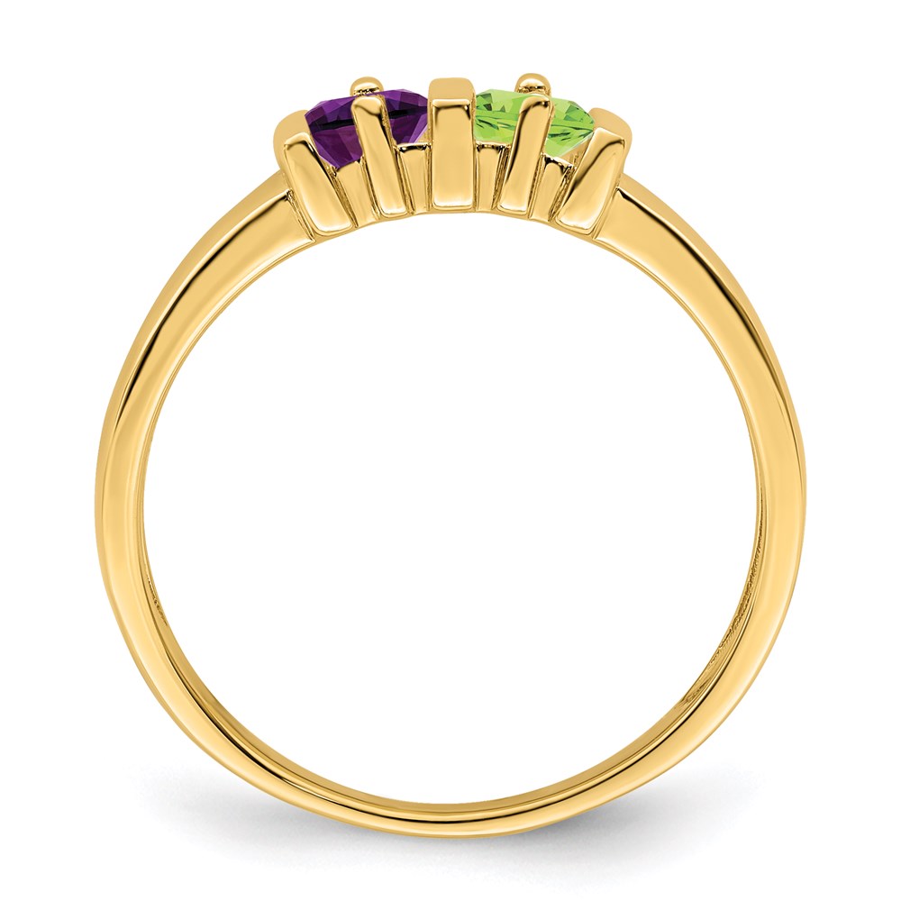 14k Synthetic Family Jewelry Ring