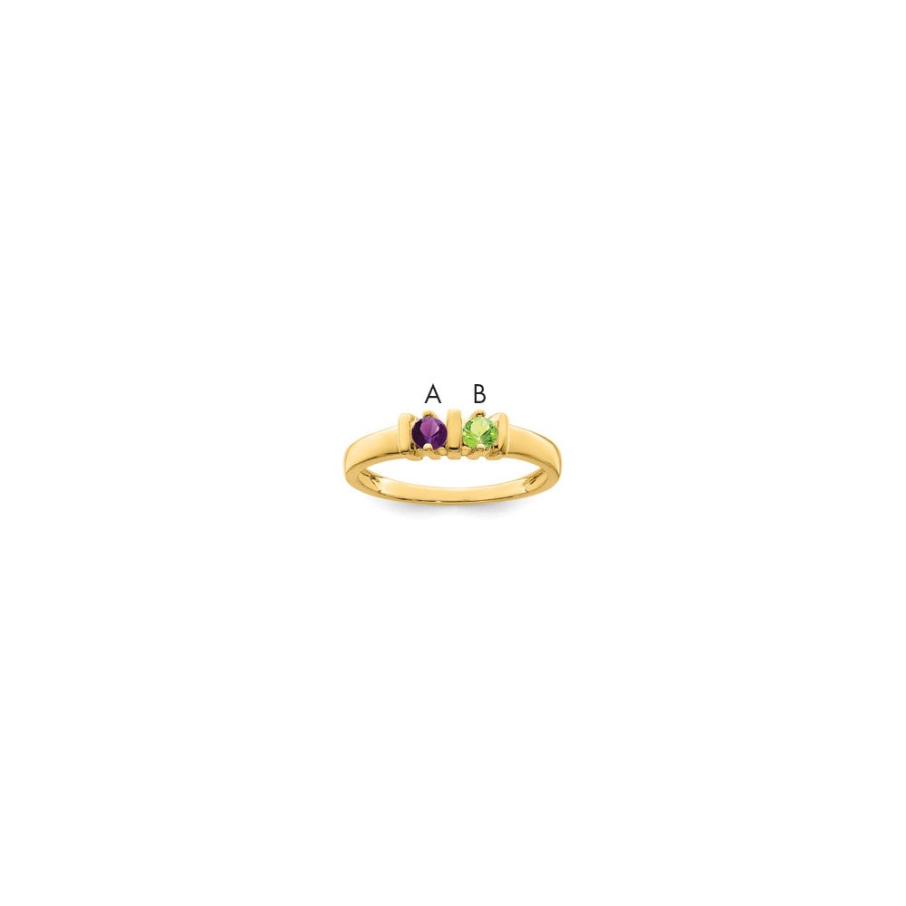 14k Synthetic Family Jewelry Ring