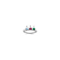 14k White Gold Synthetic Family Jewelry Ring