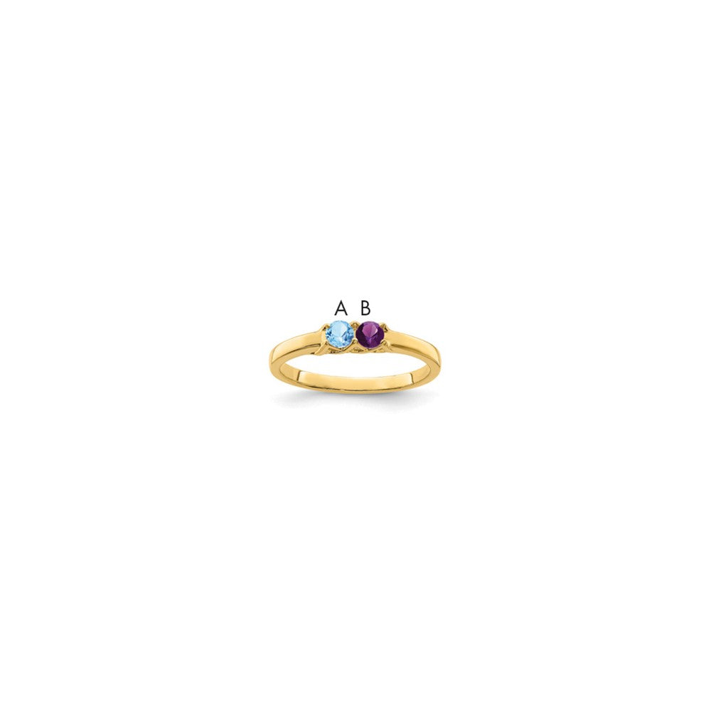 14k Synthetic Family Jewelry Ring