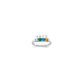 14k White Gold Synthetic Family Jewelry Ring