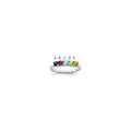 14k White Gold Synthetic Family Jewelry Ring