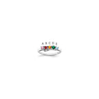14k White Gold Synthetic Family Jewelry Ring
