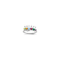 14k White Gold Family Jewelry Ring