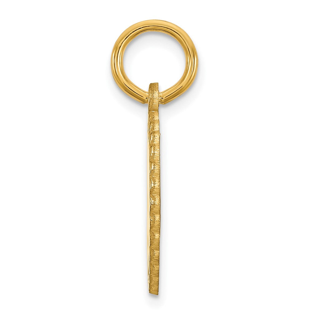 14k Yellow Gold Scalloped  Disc with Name Charm