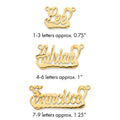 14k Yellow Gold Diamond-cut Underlined Name Plate
