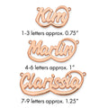 14k Rose Gold Swoop Name Plate