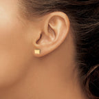 Sterling Silver/Gold-plated Colorado State Earrings