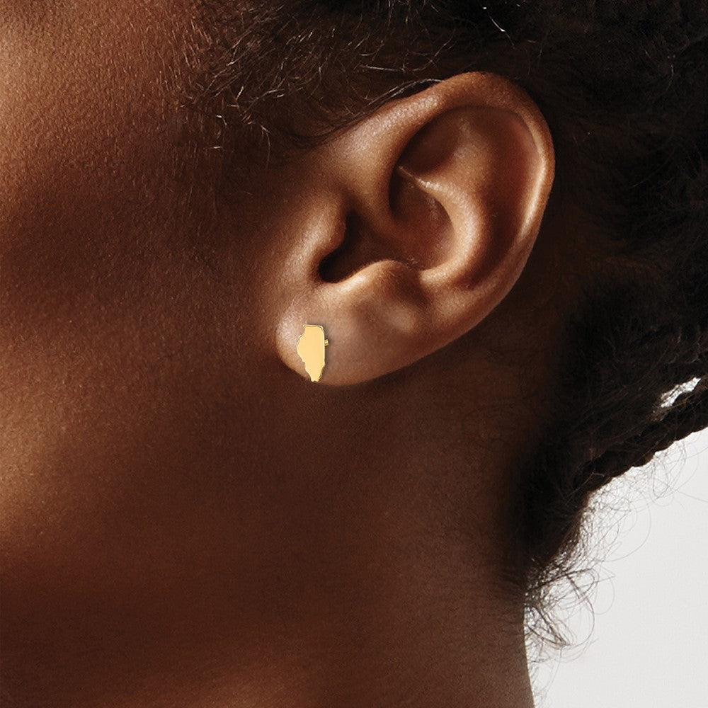 Sterling Silver/Gold-plated Illinois State Earrings