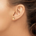 Sterling Silver/Gold-plated Michigan State Earrings
