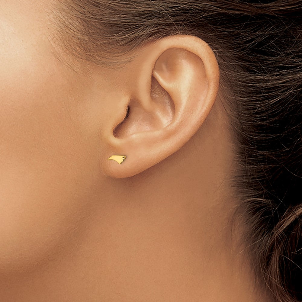 14KY North Carolina State Earrings