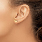Sterling Silver/Gold-plated Nebraska State Earrings
