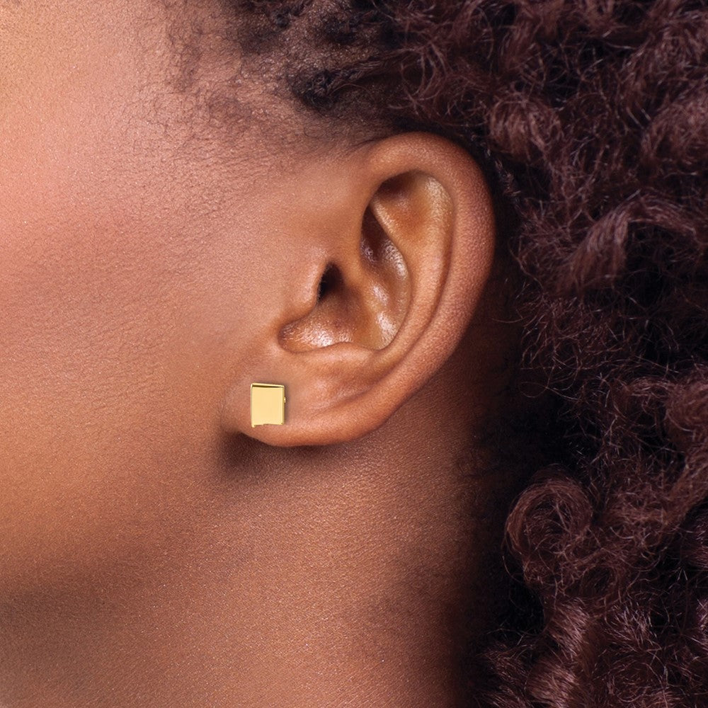 14KY New Mexico State Earrings