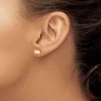 Sterling Silver/Gold-plated South Dakota State Earrings