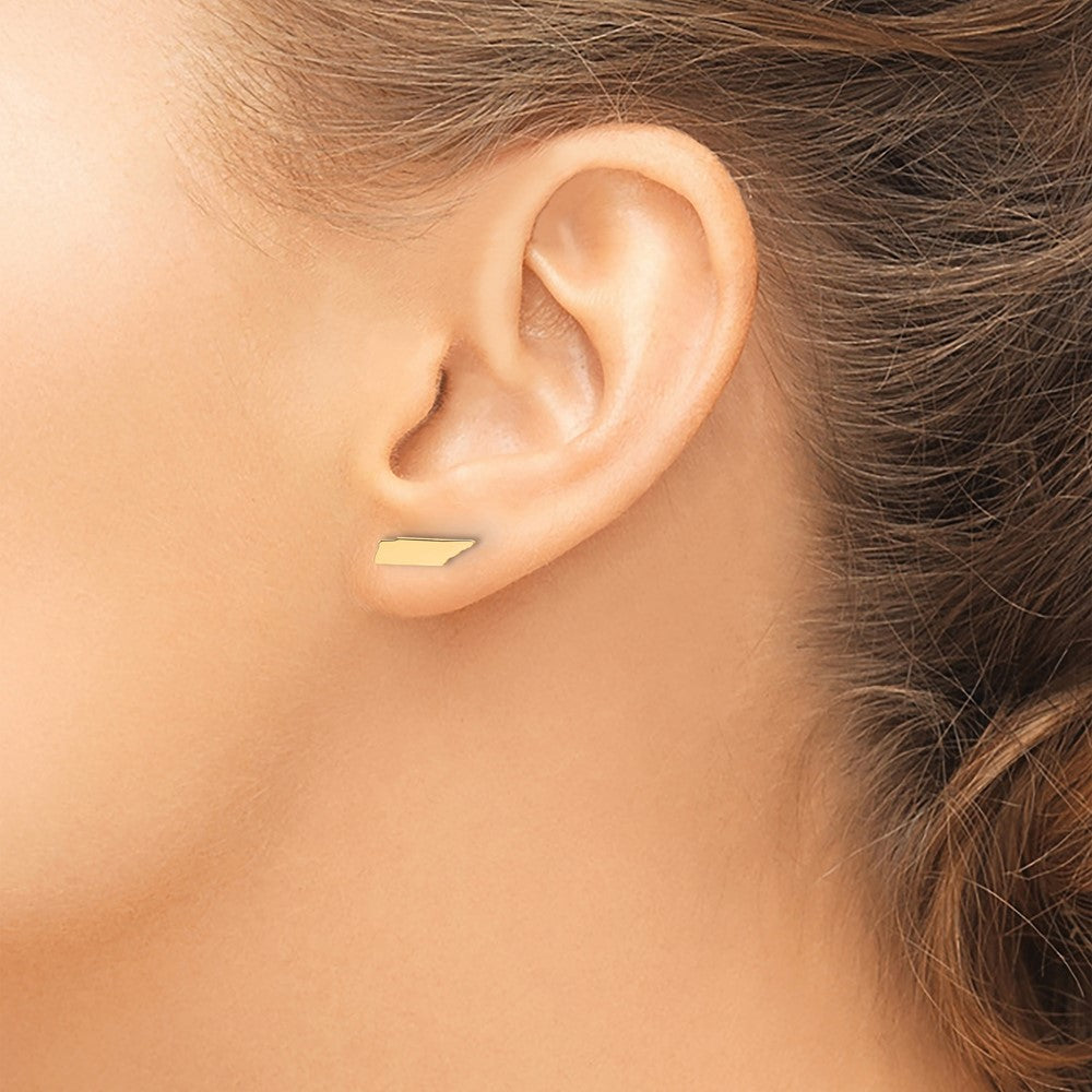 Sterling Silver/Gold-plated Tennessee State Earrings