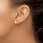 14KY Wisconsin State Earrings