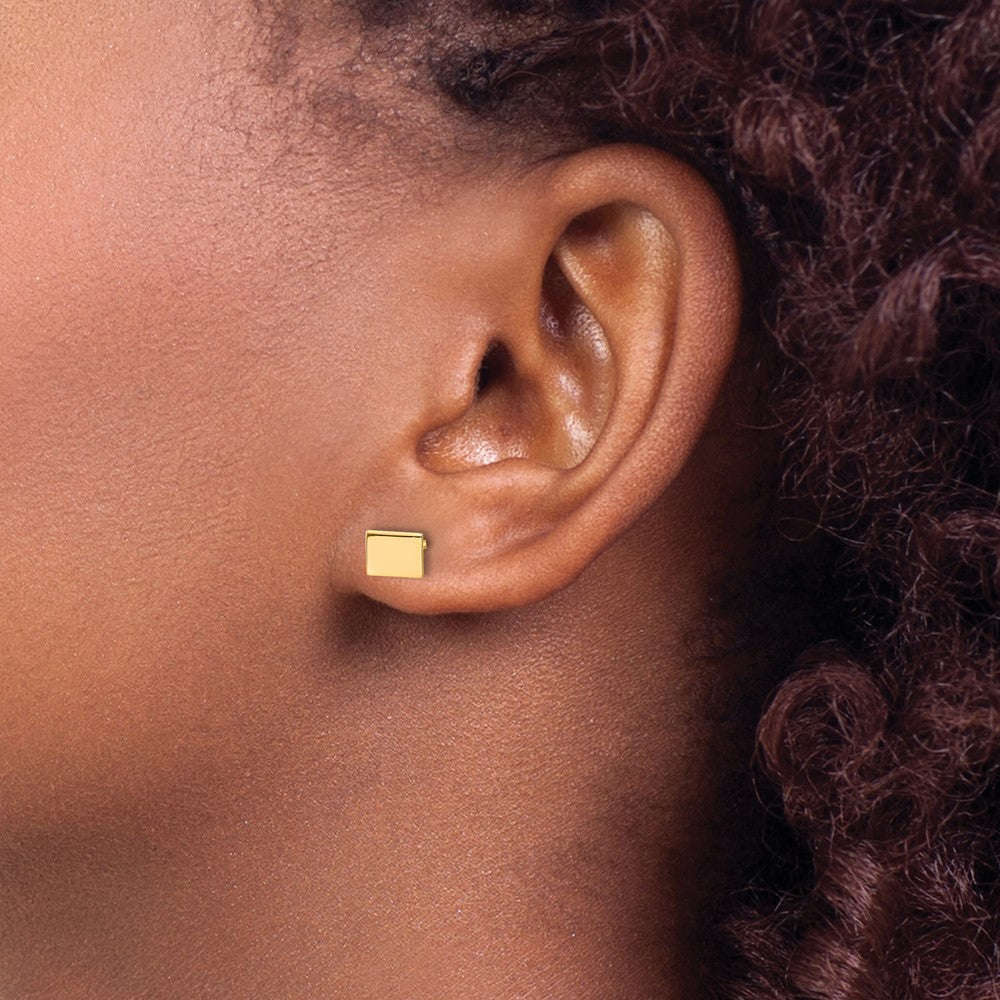 14KY Wyoming State Earrings