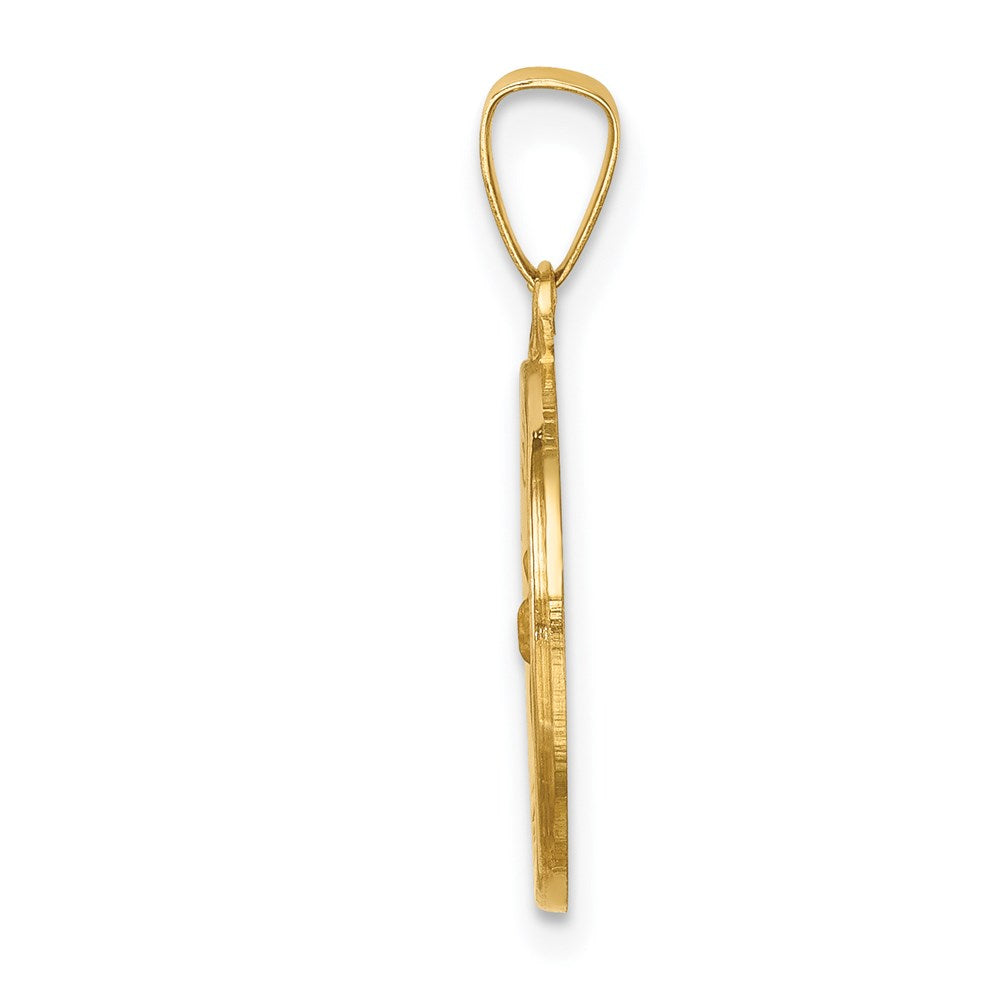 14k Polished and Satin Hollow St Francis Medal Round Pendant