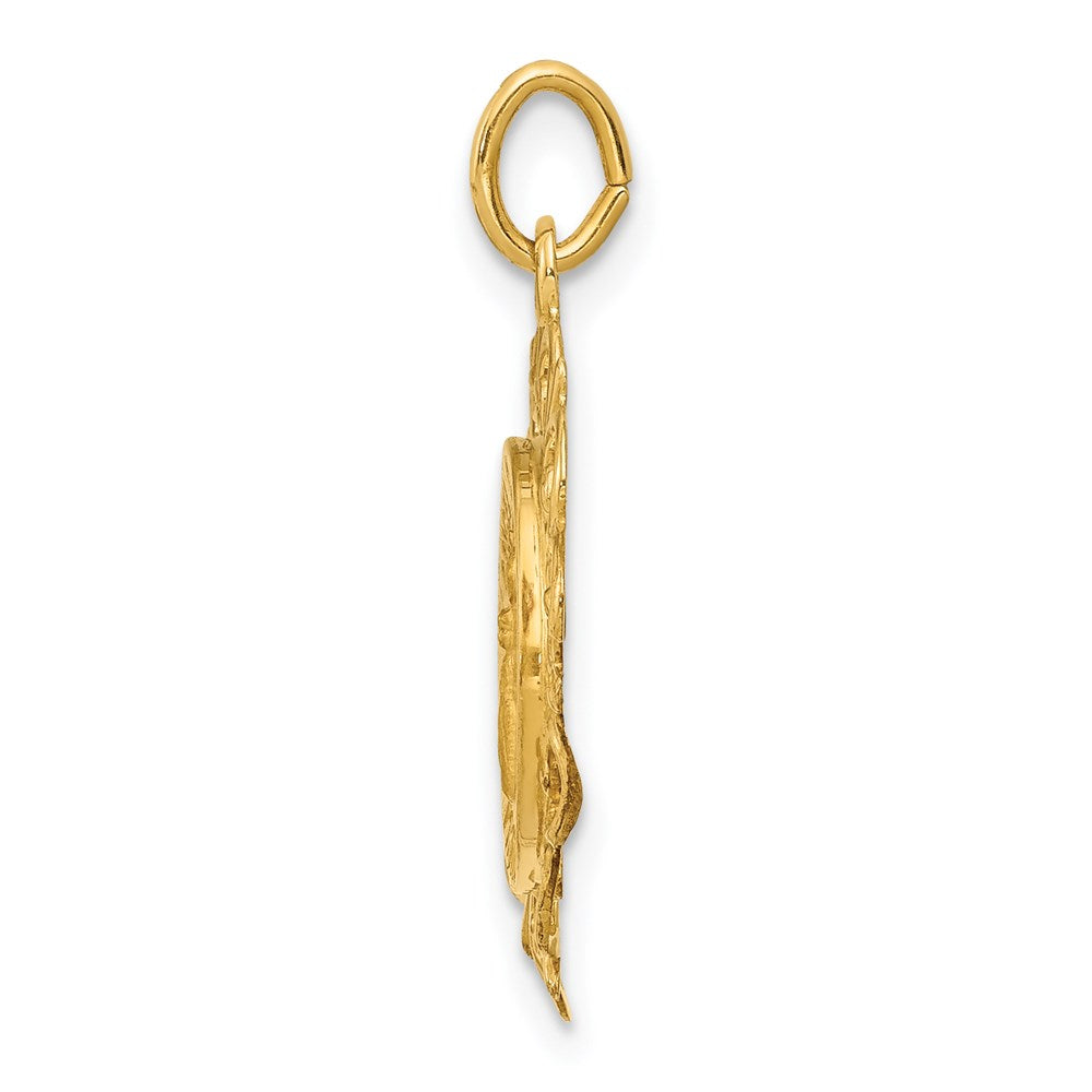14k Polished and Satin Hollow Spanish Guardian Angel Medal Round Pendant