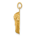 14k Satin Diamond-cut Jesus Charm