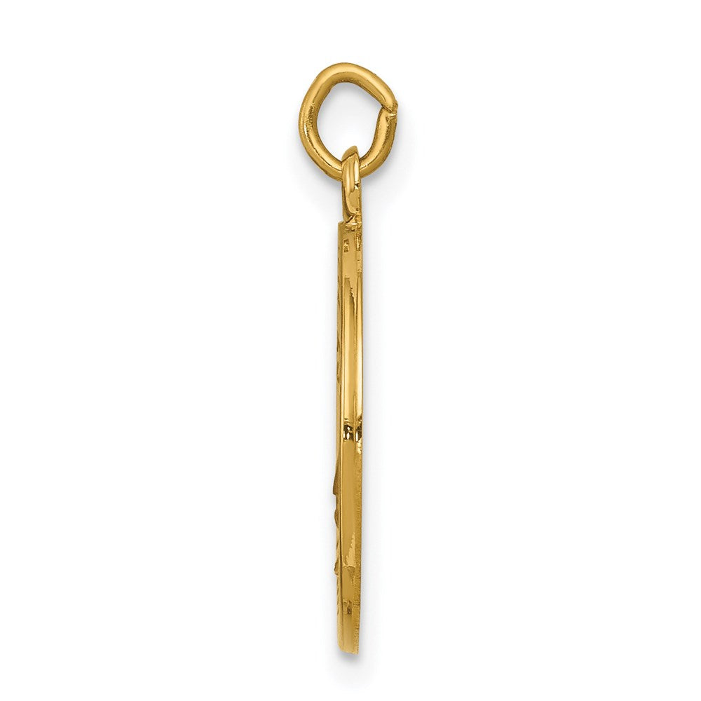 14k Polished and Satin Solid Saint Elizabeth Seton Medal Round Charm