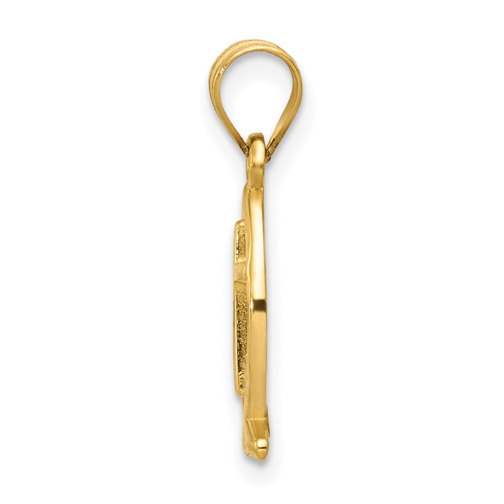 14k Cross Ichthus Fish Charm