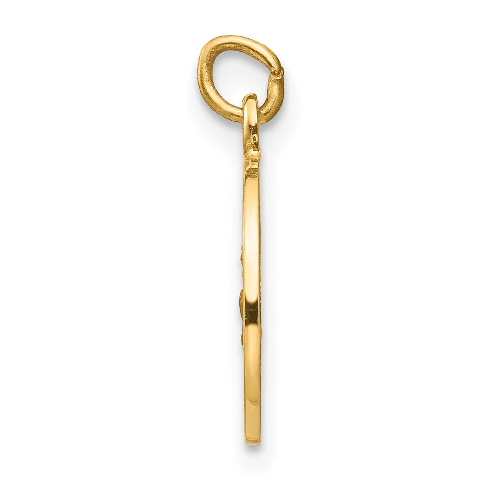 14k Polished and Satin Solid Saint Roch Medal Round Charm