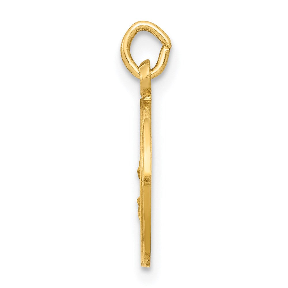 14k Polished and Satin Solid Our Lady Of The Assumption Medal Round Charm