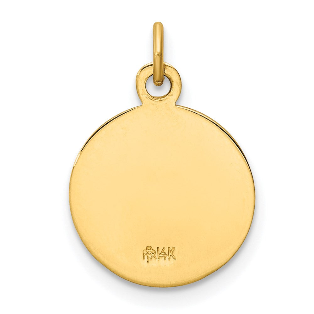 14k Polished and Satin Solid Our Lady of Mt. Carmel Medal Round Charm