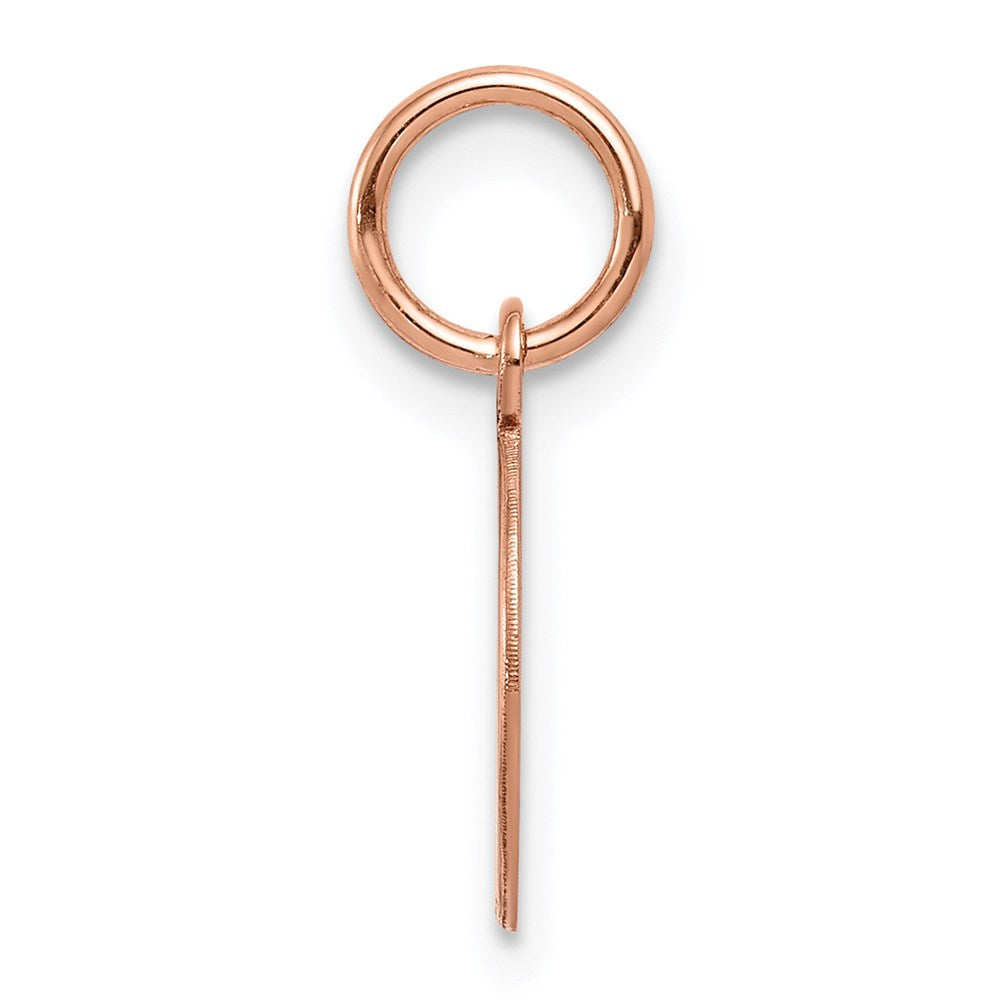14k Rose Gold Plain .009 Gauge Round Engraveable 10mm Disc Charm