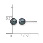 14k White Gold 5-6mm Black Round Freshwater Cultured Pearl Stud Post Earrings