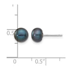 14k White Gold 6-7mm Black Button Freshwater Cultured Pearl Stud Post Earrings