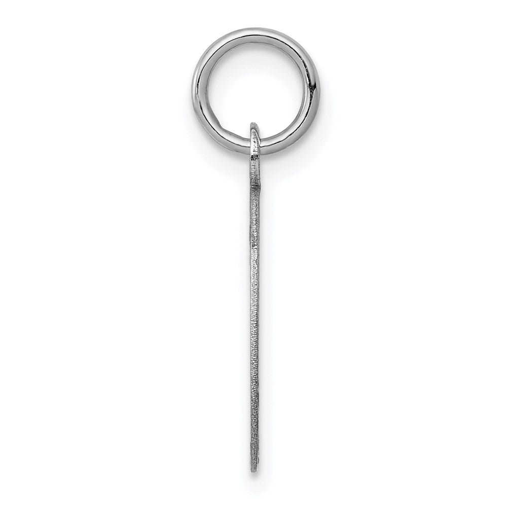 14k White Gold Plain 13.4x9.5mm .009 Gauge Oval Engravable Disc Charm