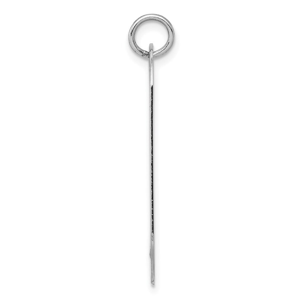 14k White Gold Plain 30x16mm .013 Gauge Engravable Dog Tag w/Notch Disc