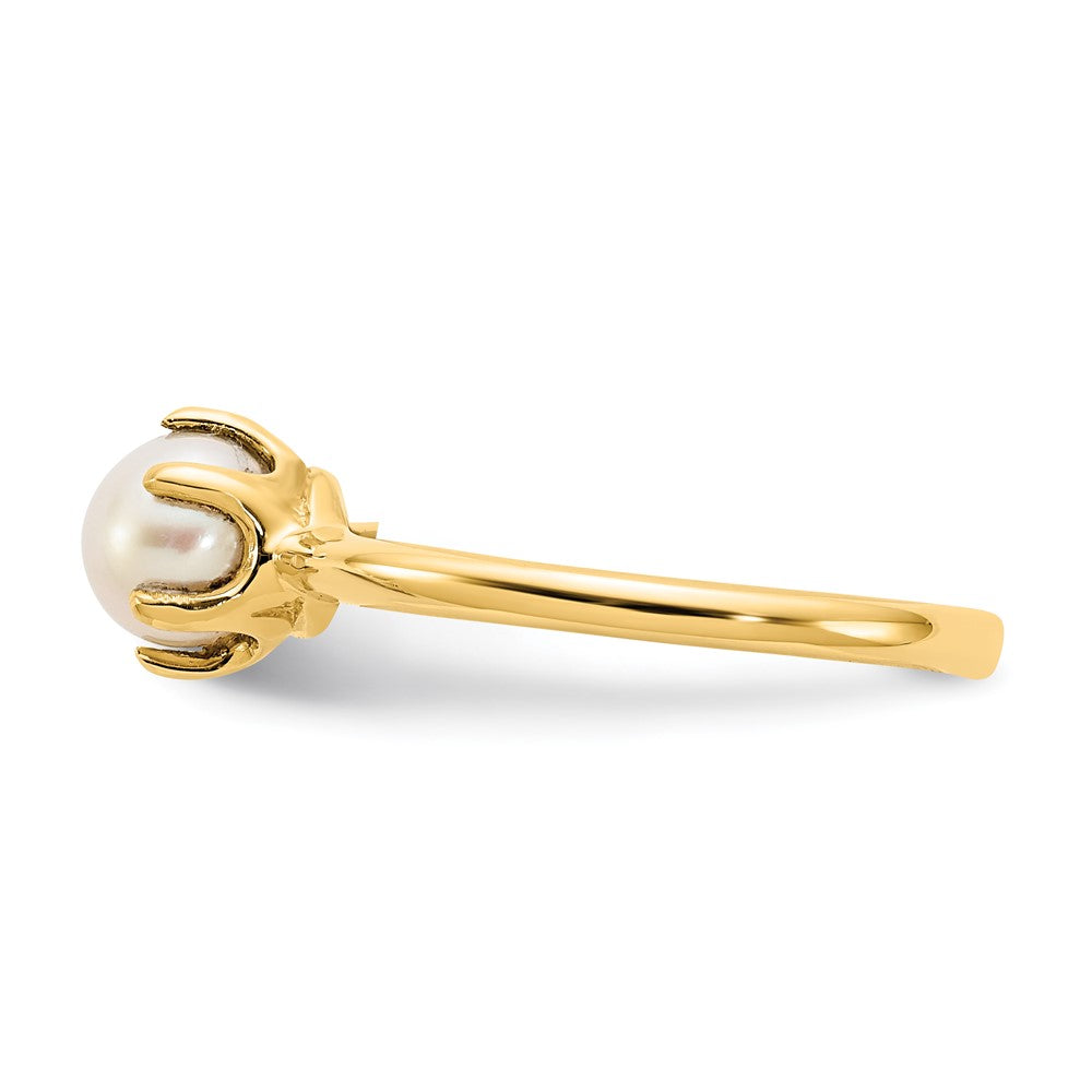 14k 5.5mm White Freshwater Cultured Pearl Ring