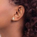14k White Crystal Turtle Post Earrings