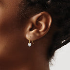 14k Crystal Heart Dangle French Hook Earrings